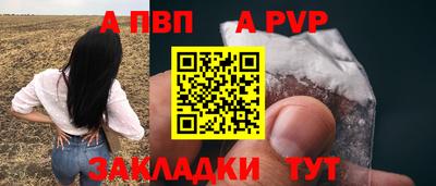 стаф Заводоуковск
