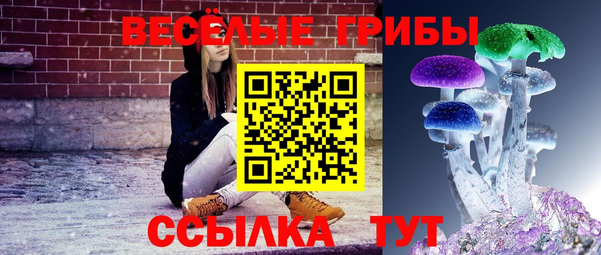 Галлюциногенные грибы GOLDEN TEACHER Нововоронеж