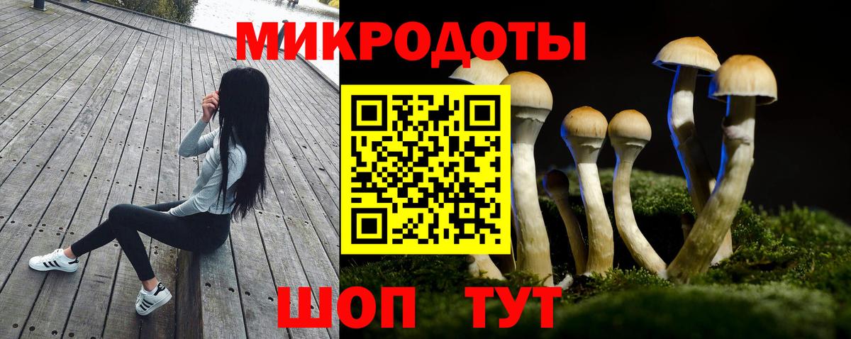 Нововоронеж  Псилоцибиновые грибы мухоморы  купить  цена  Вход с VPN 